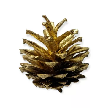 Fenyőtoboz arany csillámos 2-4 cm 