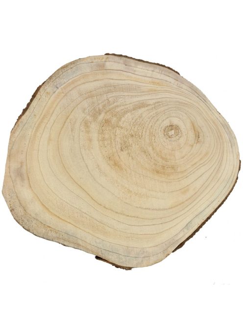 Rönk Fa szelet, nagy - kb. 40 x 2-3 cm
