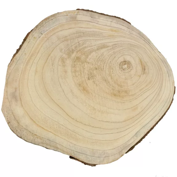 Fa szelet, nagy - 40 x 2 cm