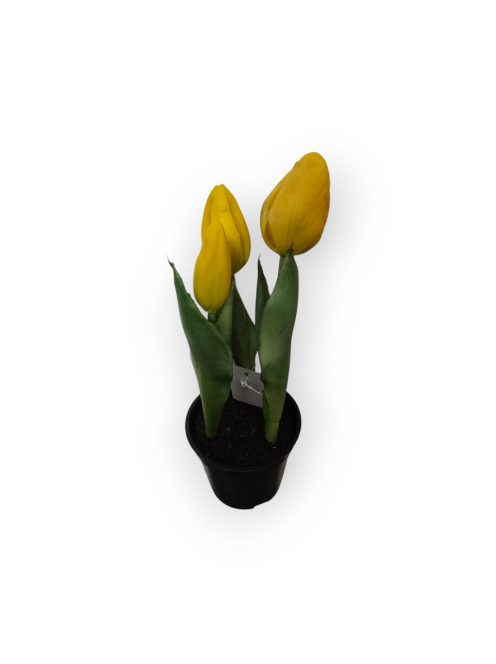 Cserepes mű tulipán 22 cm