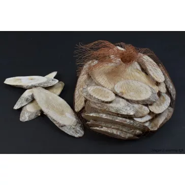 Fenyőfa korong fehér - ovális, 5db/cs 4-8cm