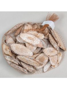 Fenyőfa korong fehér - ovális, 5db/cs 4-8cm