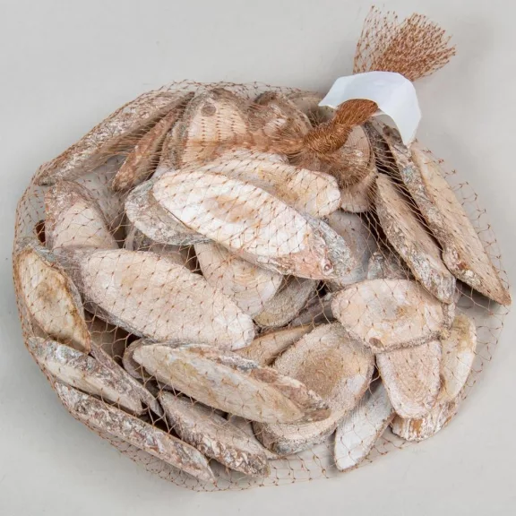Fenyőfa korong fehér - ovális, 5db/cs 4-8cm