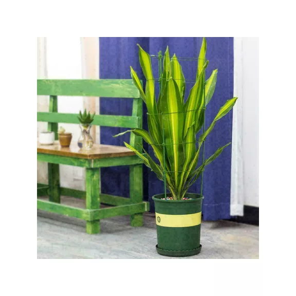 Gyűrűs támasz virágokhoz, növényekhez 60cm