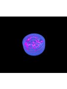 KiviArt Golden Fairy Mixed Chunky Csillám CG52 - Arany Tündér Glitter Sminkhez