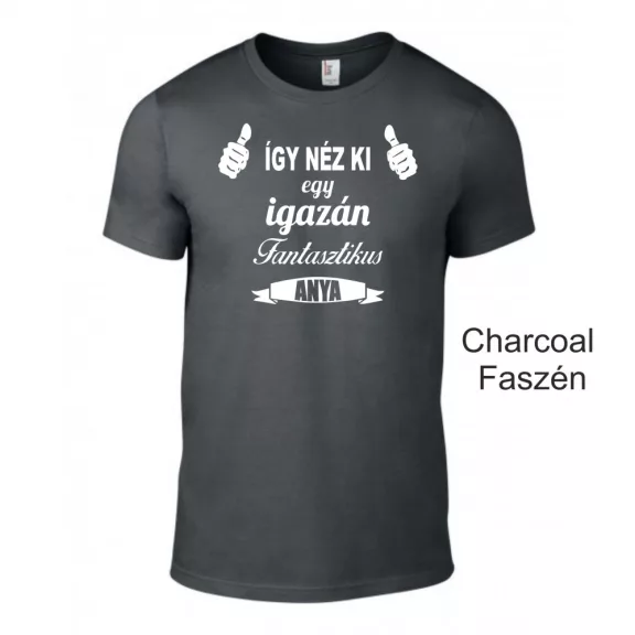 Póló - Így néz ki egy igazán fantasztikus anya