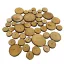 Faszelet - 1x4-6 cm 5 db/cs