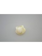 Akril fűzhető kagyló - 10 db/cs, gyöngy fehér