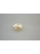 Akril fűzhető kagyló - 10 db/cs, gyöngy fehér