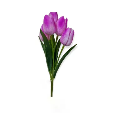 Tulipán csokor 5 virággal Több színben
