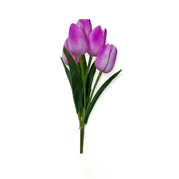 Tulipán csokor 5 virággal Több színben