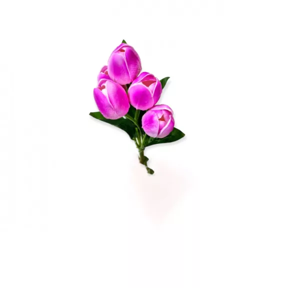 Tulipán csokor 5 virággal Több színben