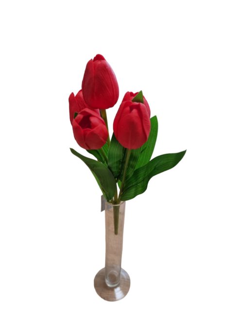 Tulipán csokor 5 virággal Több színben