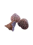 Szárított Lótusz 