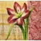 Dekupázs szalvéta - Virágok, több minta