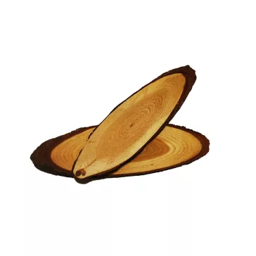 Fa szelet ovális forma 12-15 cm csiszolt