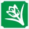 5x5 cm-es Csillám tetoválás sablon - Tulipán 10