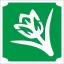 5x5 cm-es Csillám tetoválás sablon - Tulipán 10