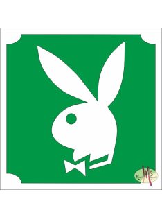 5x5 cm-es Csillám tetoválás sablon - Play Boy 34