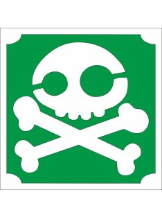 KiviArt 5x5 cm-es Csillámtetoválás sablon -  Koponya minta.