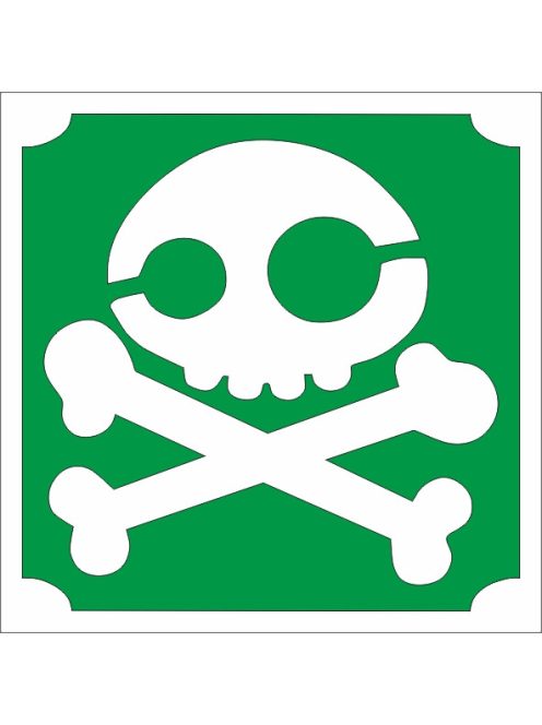 KiviArt 5x5 cm-es Csillámtetoválás sablon -  Koponya minta.