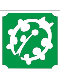 5x5 cm-es Csillámtetoválás sablon - Katica 125