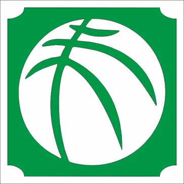 5x5 cm-es Csillámtetoválás sablon - kosárlabda 142