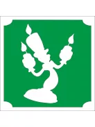 5x5 cm-es Csillámtetoválás sablon - A szépség és a szörnyeteg 174