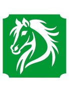 KiviArt ló csillámtetoválás sablon – öntapadós háromrétegű festősablon