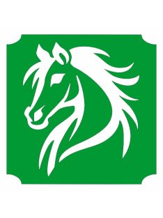 KiviArt ló csillámtetoválás sablon – öntapadós háromrétegű festősablon