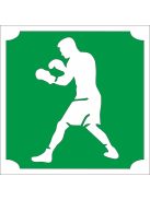 KiviArt 5x5 cm-es Csillámtetoválás sablon -  Boxoló minta.