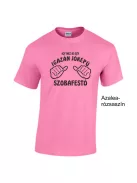 Póló - Így néz ki egy igazán jóképű szobafestő