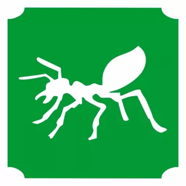 5x5 cm-es Csillámtetoválás sablon -Hangya 274