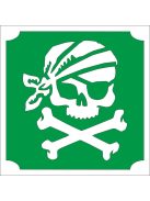 KiviArt csillamtetovalas sablon kalóz mintával.