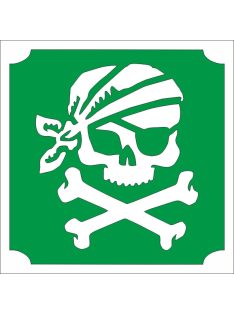 KiviArt csillamtetovalas sablon kalóz mintával.