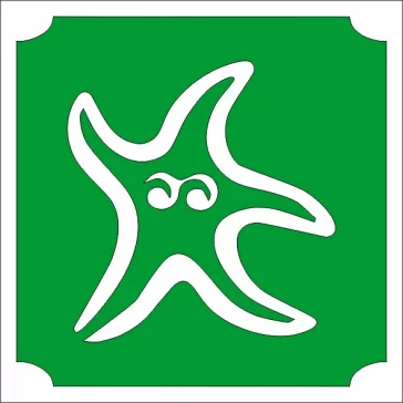 csillamtetovalas sablon delfin