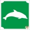csillamtetovalas sablon delfin