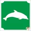 csillamtetovalas sablon delfin