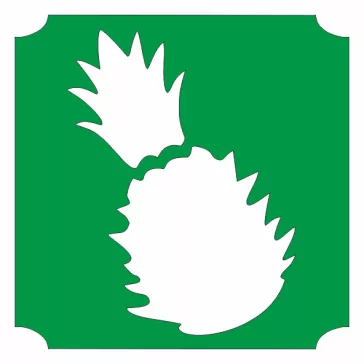 ananász csillámtetoválás sablon