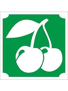 5x5 cm-es cseresznye mintás csillámtetoválás sablon