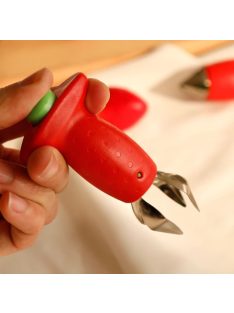 Eper és paradicsom csumázó