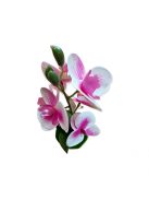 Cserepes mű Orchidea 27 cm