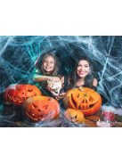 Pókháló pókokkal félelmetes halloween dekoráció