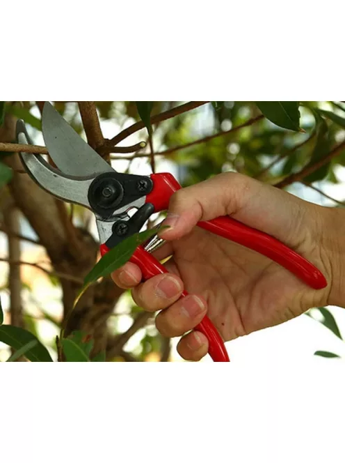 Kovácsolt acél kézi metszőolló, ergonomikus markolattal, biztonsági zárral ágak és cserjék metszéséhez.