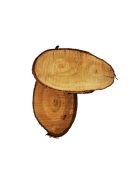 Fa szelet kerek és ovális forma 12-15 cm