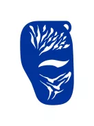 Arcfestés sablon - Tigris félarc minta