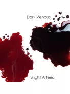 Mehron Stage Blood – Dark Venous (470 ml) professzionális sötét vénás művér SFX-hez
