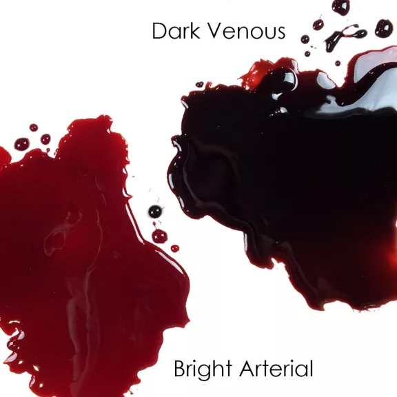 Mehron Stage Blood – Dark Venous (470 ml) professzionális sötét vénás művér SFX-hez