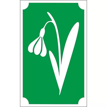 Csillámtetoválás sablon - Hóvirág