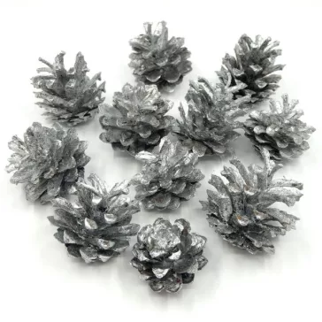 Fenyőtoboz ezüst 2-5 cm  4db/cs